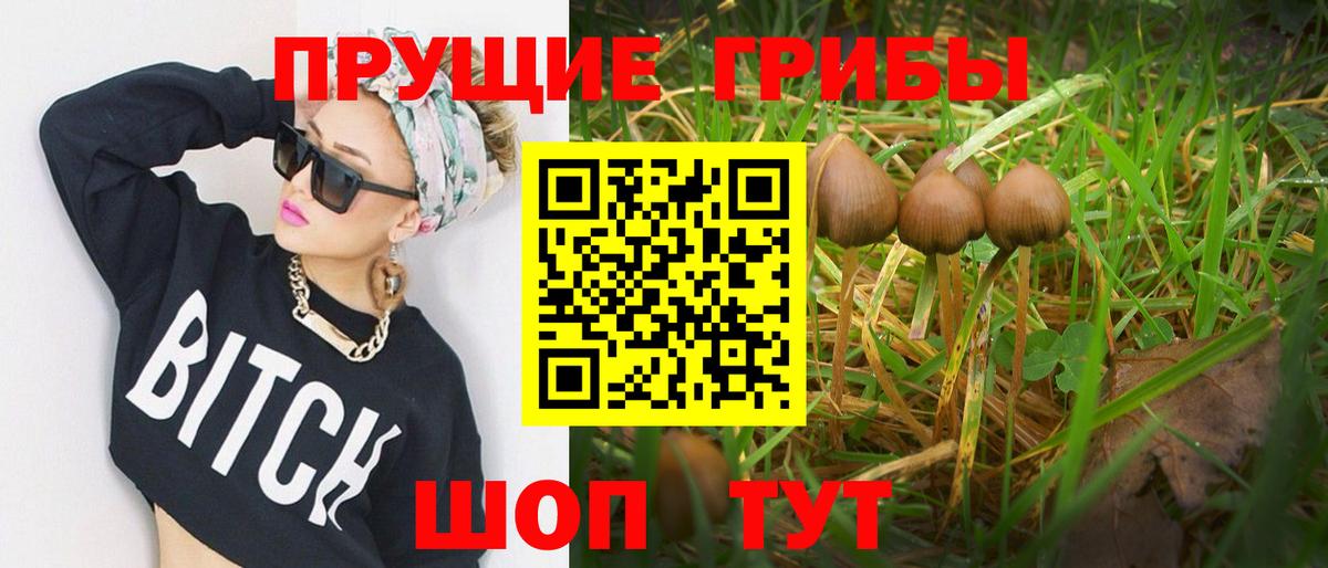 Якутск  Псилоцибиновые грибы Magic Shrooms  Галлюциногенные грибы Cubensis  Вход с VPN 