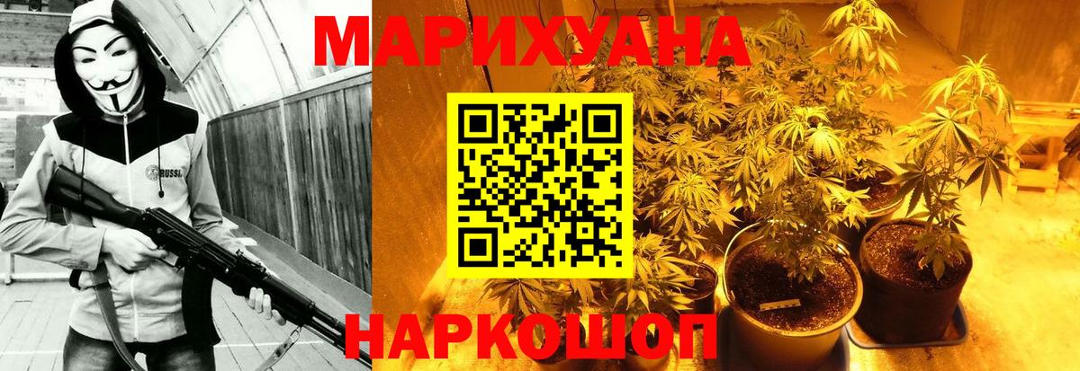 Бошки марихуана семена  Конопля VHQ  Вход с VPN  Конопля сатива  Якутск 